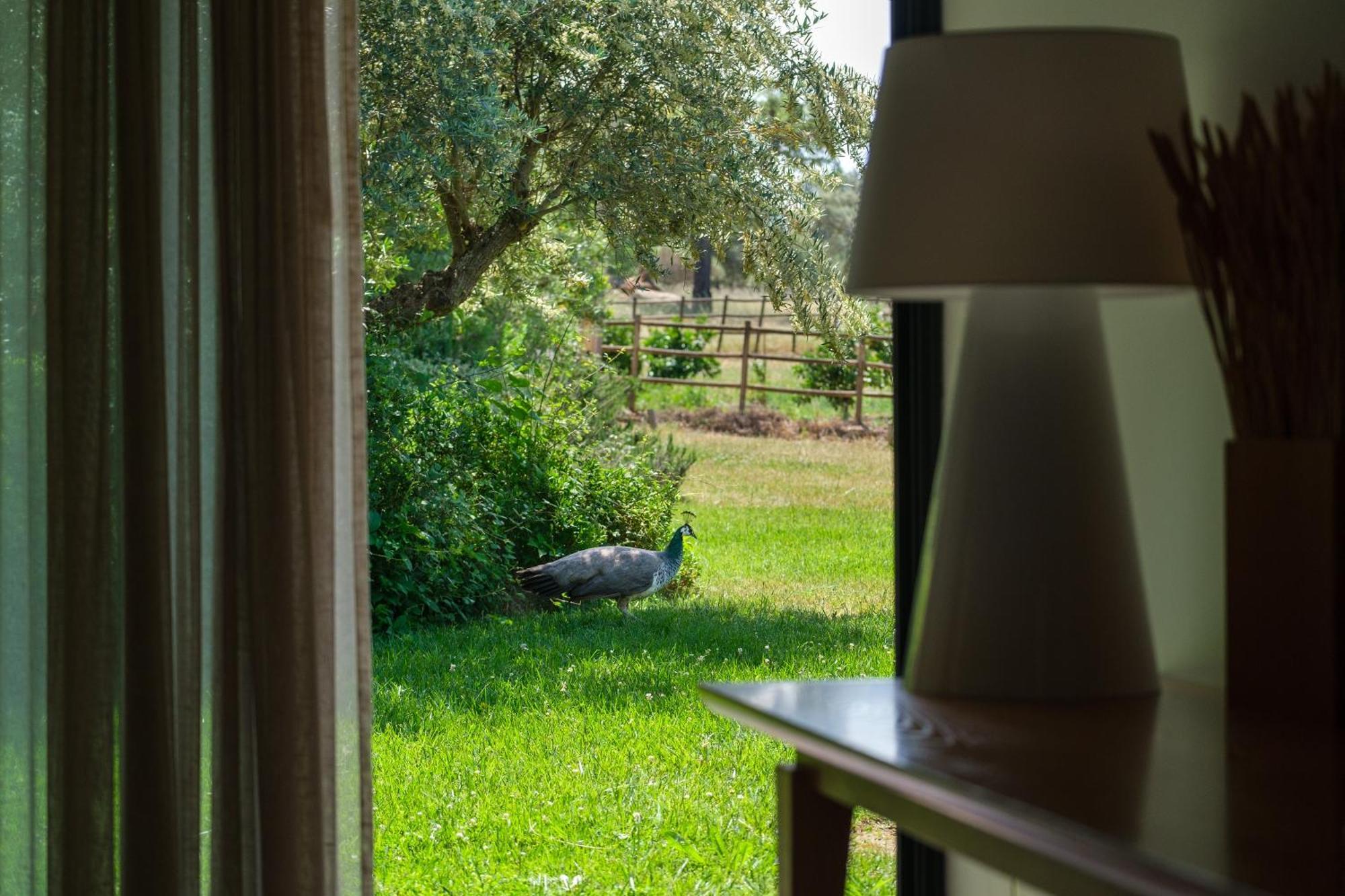 אביס Herdade Da Cortesia Hotel מראה חיצוני תמונה